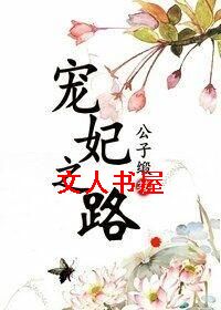 宠妃之路TXT全集封面