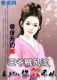修罗将军PK破军夫人:王妃在上TXT全集封面