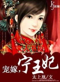 宠嫁,宁王妃TXT全集封面