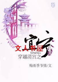 穿越清宫之宜宁TXT全集封面