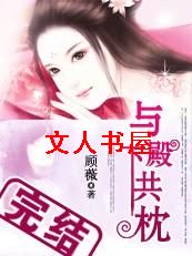 与殿下共枕TXT全集封面