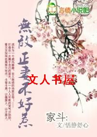 穿越:无敌正妻不好惹TXT全集封面