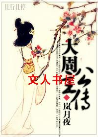 大周公主传TXT全集封面