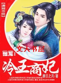 独宠:冷王商妃TXT全集封面