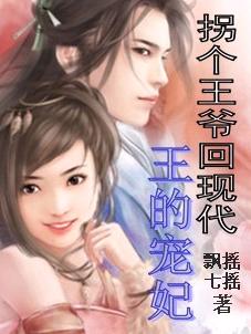 拐个王爷回现代:王的宠妃TXT全集封面