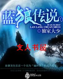 蓝狼传说TXT全集封面