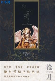 风玫瑰TXT全集封面