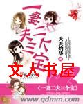一妻二夫三个宝TXT全集封面