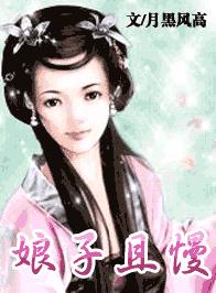 娘子且慢TXT全集封面