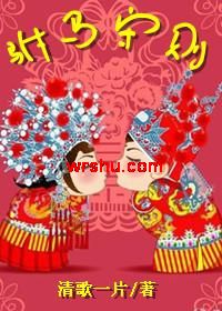 驸马守则TXT全集封面