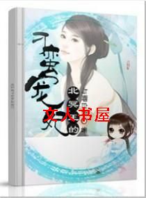 北冥王的刁蛮宠妃TXT全集封面