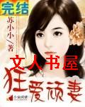 狂爱顽妻TXT全集封面