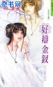 好辩金钗TXT全集封面