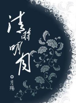 清时明月(清穿)TXT全集封面