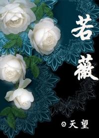 若薇TXT全集封面