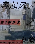 江湖之再起风云TXT全集封面