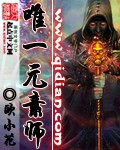 唯一元素师TXT全集封面