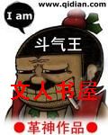 斗气王TXT全集封面