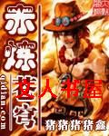 赤炼苍穹TXT全集封面