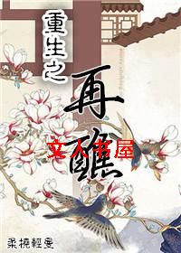 重生之再醮TXT全集封面