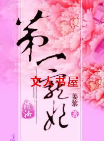 第一宠妃TXT全集封面