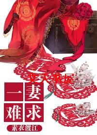 一妻难求TXT全集封面