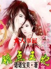 错点王妃TXT全集封面