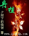 丹植TXT全集封面