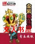 金装魔法师TXT全集封面