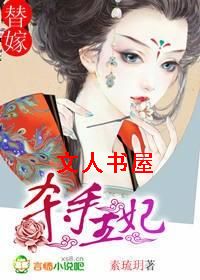 替嫁:杀手王妃TXT全集封面
