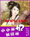 小小弃妃很倾城TXT全集封面