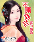 不愿为妾TXT全集封面