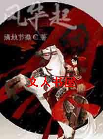 风华起TXT全集封面