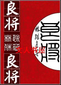 良将TXT全集封面