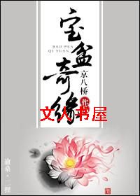 宝盆奇缘TXT全集封面