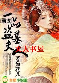 一品盗墓夫人TXT全集封面