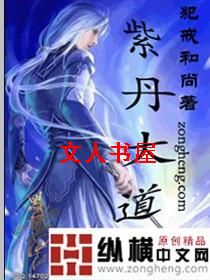 紫丹大道TXT全集封面