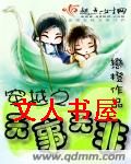 穿越之无事无非TXT全集封面