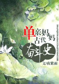 单亲妈妈古代奋斗史TXT全集封面