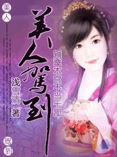 美人驾到TXT全集封面