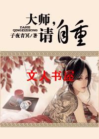 大师,请自重!TXT全集封面