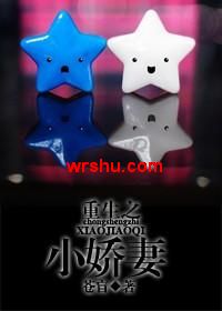 小娇妻TXT全集封面