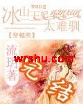 冰山王妃太难驯TXT全集封面