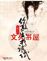 皇上,你敢压我试试TXT全集封面