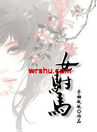 女驸马TXT全集封面
