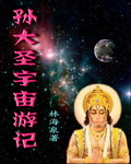 孙大圣宇宙游记TXT全集封面