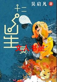 十二星灵TXT全集封面