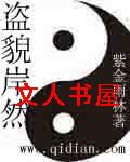 盗貌岸然TXT全集封面