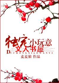 独宠小玩意TXT全集封面