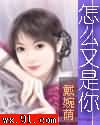 怎么又是你?!TXT全集封面